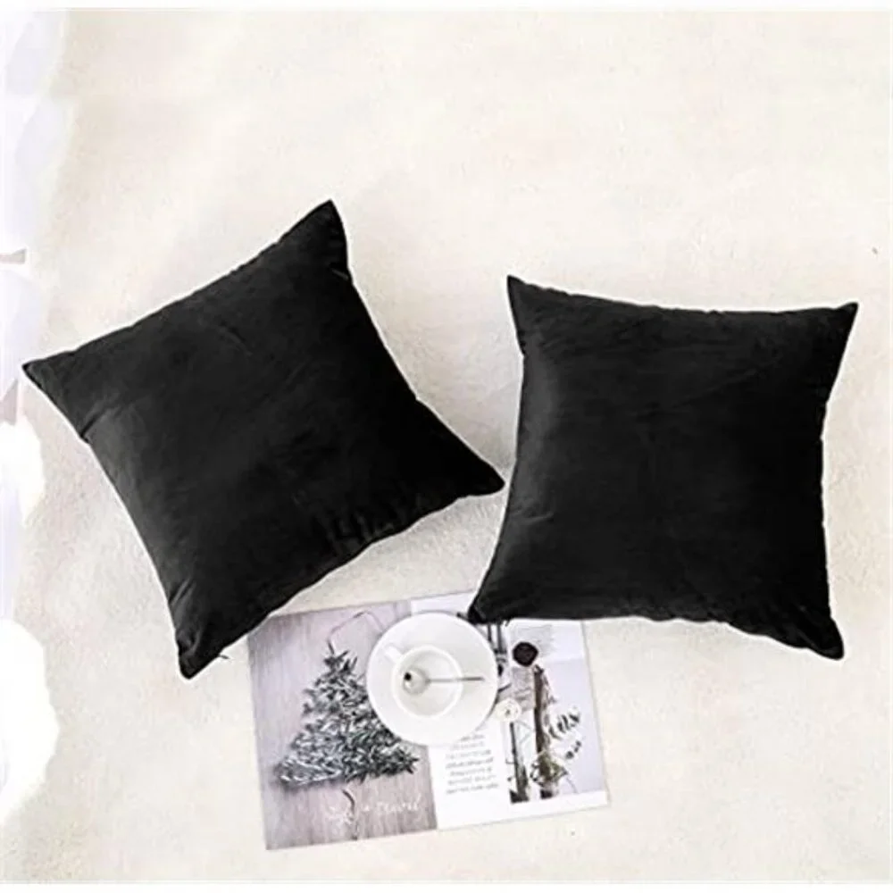 2 Pack Decorative Throw Pillow Covers Velvet Throw Pillow Cases